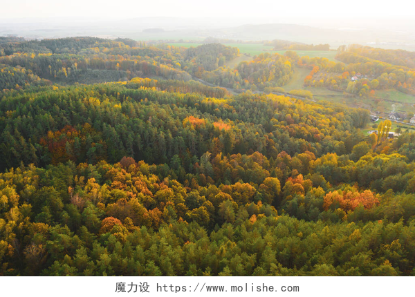 阳光下的树林航拍景观秋天五彩缤纷的树在日出鸟瞰